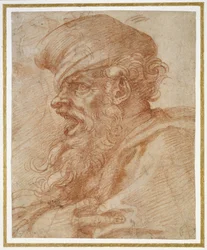 Kopf eines bärtigen Mannes, der schreit, um 1525