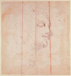 Studie für den Kopf der Libyschen Sibylle (Schwarze Kreide auf Papier) (verso)