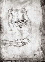 Studie eines männlichen Torsos und Arms
