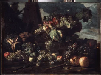 Stillleben mit Trauben