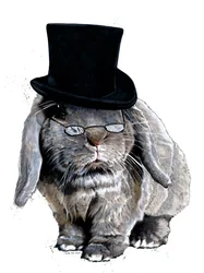 Humbug Hase auf Weiß, 2020