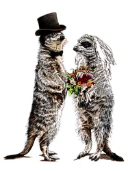 Verheiratete Erdmännchen auf Weiß, 2020