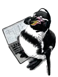 Neuer Job Pinguin auf Weiß, 2020
