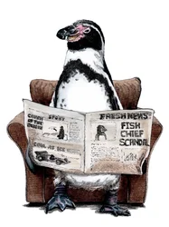 Ruhestandspinguin auf Weiß, 2020