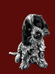 Rosie der Cocker Spaniel auf Rotoxid