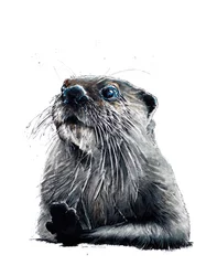 Der Otter auf Weiß, 2020