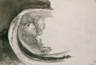 Perlenmuschel, 1904