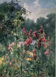 Stockrosen