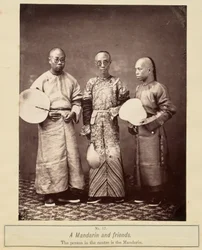 Ein Mandarin und Freunde