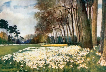 Der Park, Sandringham