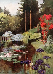 Der Teich, Wolfsgarten