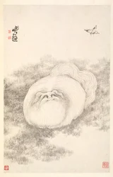 Katze und Schmetterling, 1788