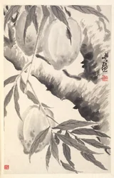 Pfirsiche, 1788