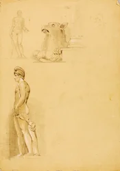 Studien von Sculante