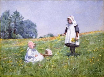 Butterblumen und Gänseblümchen