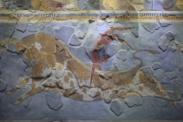 Minoische Kunst. Das Fresko „Stiersprung“. Stiersprungszene, die zeigt, wie dieser Sport ausgeübt wurde. Das Fresko wurde an der Ostseite des Palastes von Knossos gefunden