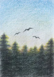 Gelassener Waldflug