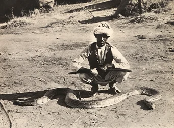 „Ein Imperium aufbauen“ im faschistischen Zeitalter: Einheimischer mit einem Python, 09/05/1936