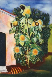 Sonnenblumen