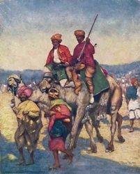 Kamele aus Mysore, 1903
