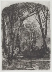 Wald [Bosco]
