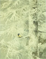 Stieglitz in einem schneebedeckten Baum