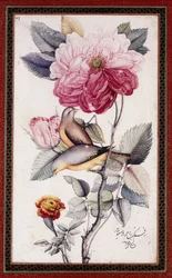 Gul-o Bulbul, ca. 1849-50