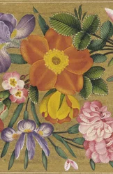 Seite aus dem St. Petersburg Album, Indien, 1727 (Farbe auf Goldgrund)