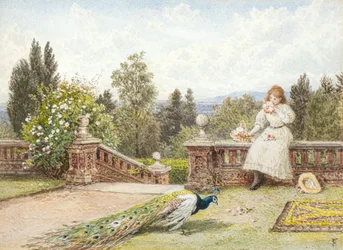 Die Terrasse