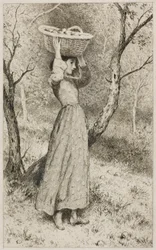 Junges Mädchen in einem Obstgarten mit einem Korb voller Früchte