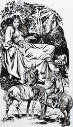 Geschichten aus vielen Ländern: Die Mistel und der Sonnengott