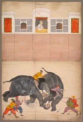 Zwei Elefanten kämpfen in einem Hof vor Muhammad Shah, um 1730-40