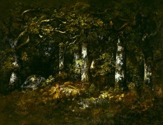 Wald von Fontainebleau