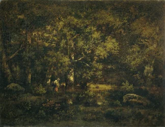 Der Wald von Fontainebleau