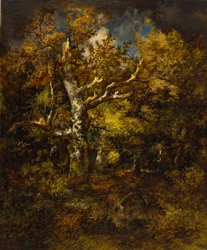 Wald von Fontainebleau, Herbst