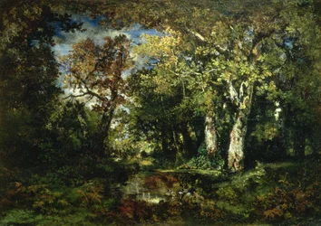 Der Wald von Fontainebleau