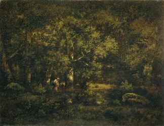 Der Wald von Fontainebleau