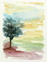 Einsamer Baum Sonnenuntergang