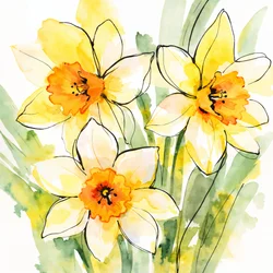 Gelbe Narzissen in Blüte