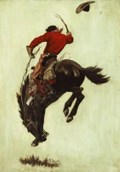 Buckelnder Bronco
