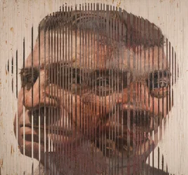 Fusioni Volti II, 2006