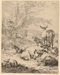 Ruhende Herde