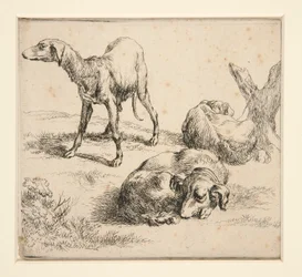 Drei Jagdhunde