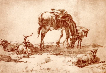 Weide mit Esel, Ziege und Schaf