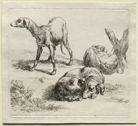 Drei Jagdhunde