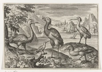 Kronenkranich zwischen zwei Straußen