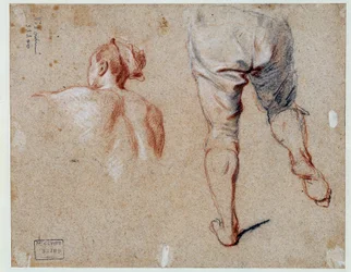 Anatomiestudie Ölgemälde von Nicolas Vleughels 18. Jahrhundert Paris, Louvre Museum