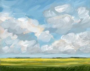 Weitläufiger Himmel Gelbes Feld