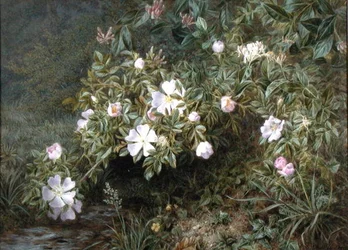 Studie von Hundsrosen, um 1900