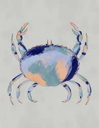 Gelassener blauer Krebs